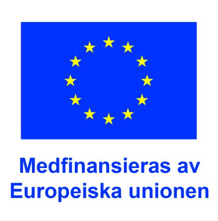SV V Medfinansieras av Europeiska unionen_POS MEJLAT